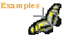 See example structures as 
VRML-files, determined 2000